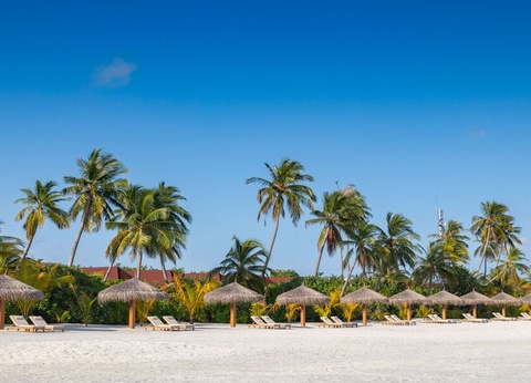 Hôtel Dhigufaru Island Resort 5* - 8