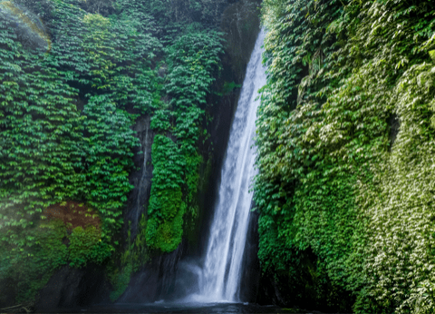 Circuit Lotus de Bali et Plage - 7