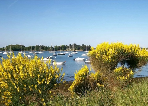 Camping du Menhir 4* - 6