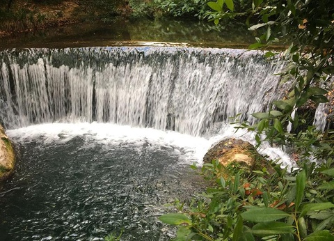 Flower Camping Les Tomasses, 4* - 32