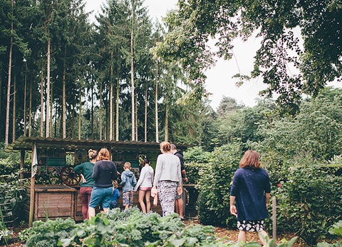Visitez Winterland Hasselt, le plus beau marché de Noël du Limbourg - 3