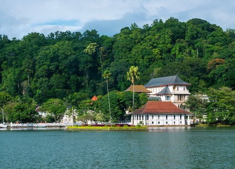 Circuit Carpe Diem au Sri Lanka - 10