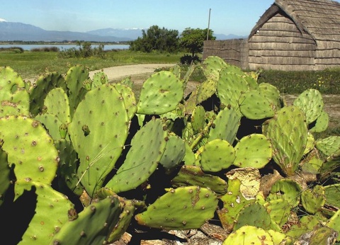 Camping La Marina de Canet 4* - 31