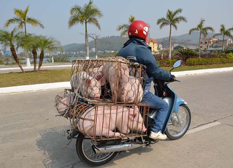 Circuit Escapade Vietnamienne - 7