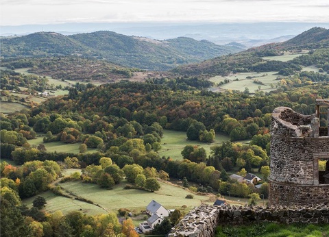 Camping Paradis - L'Europe, 4* - 41