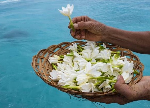 Circuit IA ORA NA POLYNESIE - 5