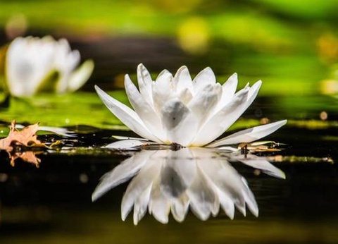 Villenpark Sanghen, 4* - 98