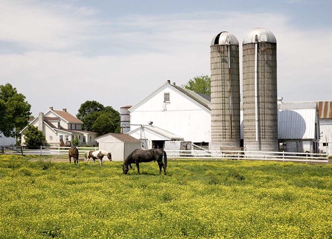 Circuit Feuille d'Érable & Big Apple - 9