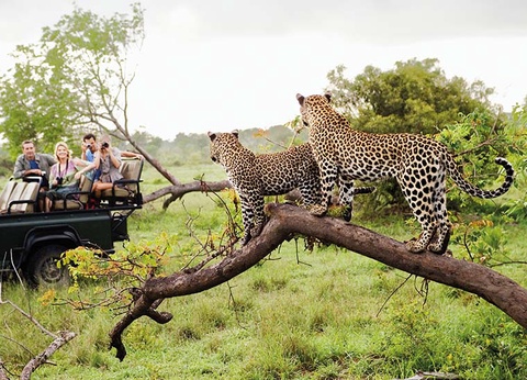 Circuit Afrique du Sud, le Monde en un seul pays - 12