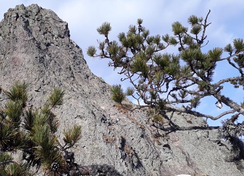 Camping Ushuaïa villages Sabot, 3* - 22