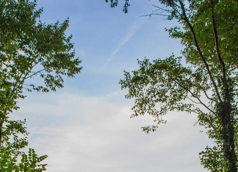 Camping Ushuaïa Villages Au Bois Joli, 4* - 20