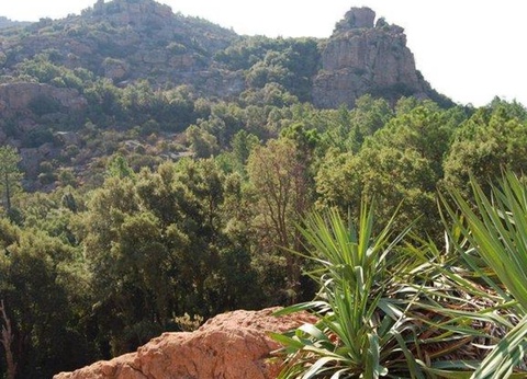 Camping Les Lauriers Roses, 4* - 52