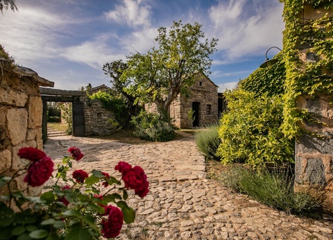 Hôtel Amadria Park Beach Hotel Jakov 4* - 42