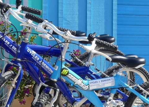 Camping Au Pigeonnier, 4* - 66