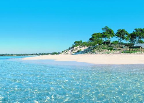 Hôtel Blau Colonia Sant Jordi Resort & Spa 4* - 14