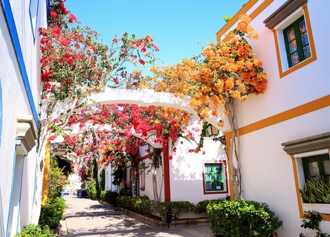 Hôtel Riu Papayas 4* - 12