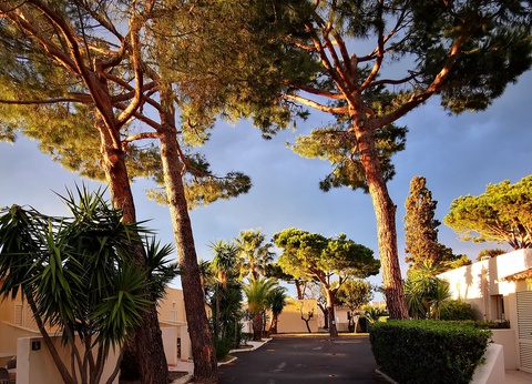 Hôtel San Pellegrino 3* (sans transport) - 3