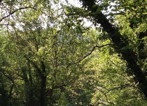 Camping des Sources, 3* - 23