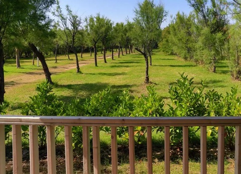 Torre Rinalda Beach Camping & Resort, 4* - 84