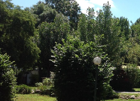 Camping La Berge Fleurie, 4* - 38