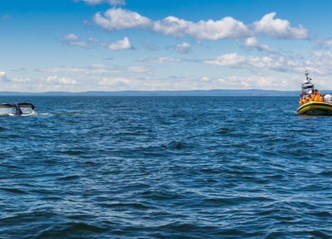 Circuit Grand Angle sur l'Est du Canada - 9