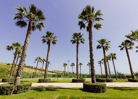 Club Lookéa Selinunte Costanza 4* - 34