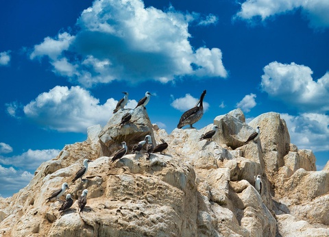 Découverte du Pérou - 3