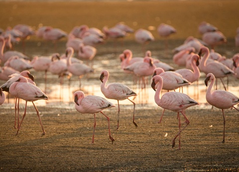 Autotour Sur les routes de Namibie **** - 17