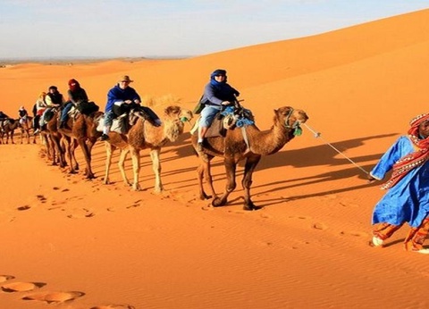 Circuit Camel Express en Riad de Charme - 8