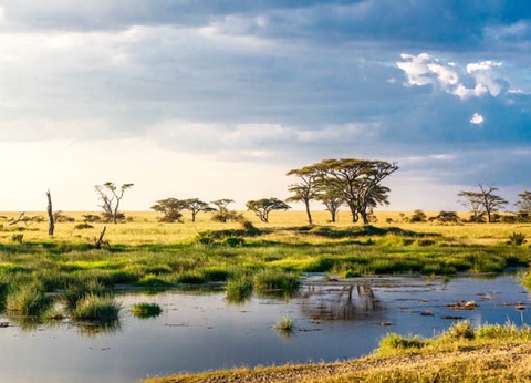 Circuit Safari Bahashishi - 7