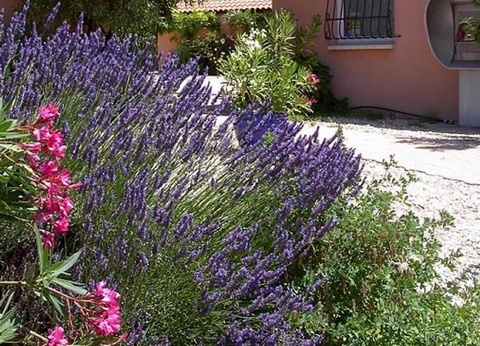 Camping Les Micocouliers 3* - 21