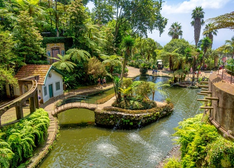 Circuit Madère sauvage : chemins d'eau et crêtes vertigineuse *** - 10