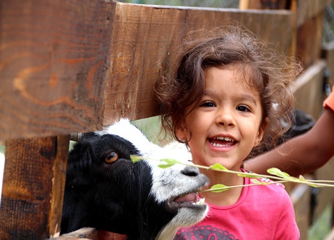 VVF Lac de Serre-Ponçon 3* - 18