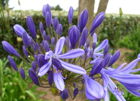 Camping West, 3* - 68