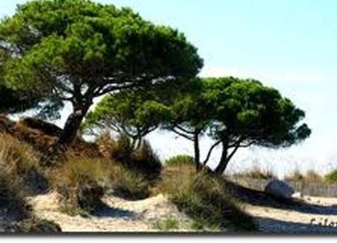 Camping le Domaine de Gajan, 4* - 49