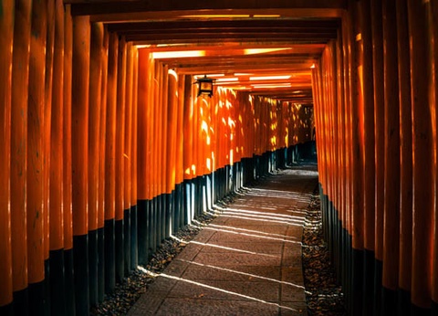 Circuit Traditions et culture du Japon 3* - 22