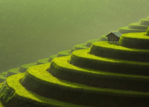 Circuit La route mandarine - 7