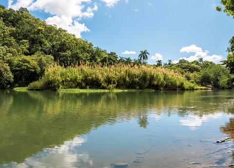 Combiné Melia Cohiba 5* & Princesa Del Mar 5* Adult Only +18 by Ôvoyages - 8