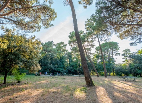 Camping Ushuaïa Villages Les Fougères, 4* - 22