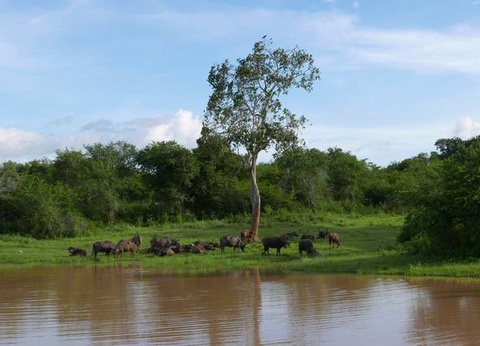 Circuit Ceylan Intimiste - 21