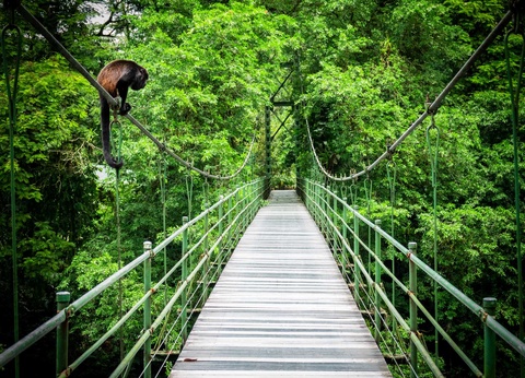 Circuit Trésors du Costa Rica - Tortuguero et séjour balnéaire - 17J/15N - 3
