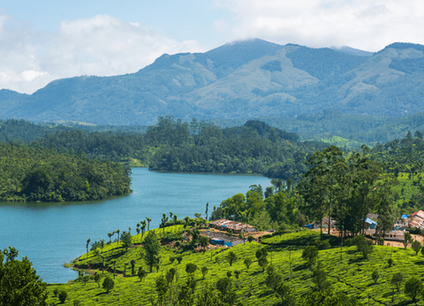 Circuit Merveilles du Kerala en Privatif - 10