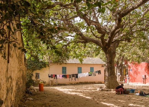 Circuit Privatif Evasion au Sénégal entre Culture et Plage - 32