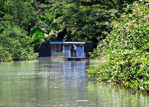 Circuit Costa Rica Nature - 7