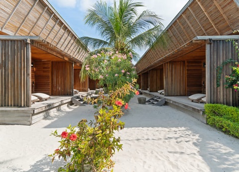 Hôtel The Barefoot Eco Hotel Maldives 4* - 14