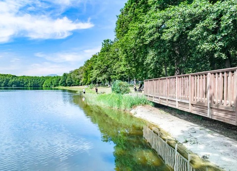 Flower Camping du Lac de la Seigneurie, 3* - 35