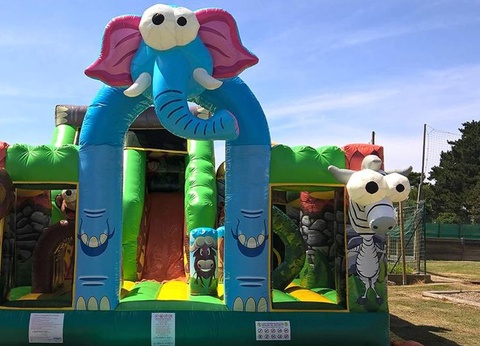 Camping du Domaine de l'Auzance, 3* - 15