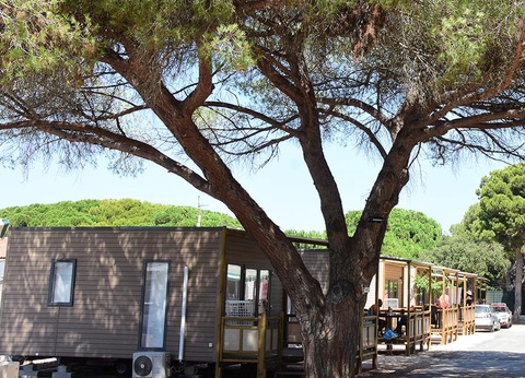 Camping Tikayan le Méditerranée, 3* - 16