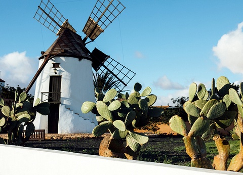 Hôtel R2 Higos Beach By Ôvoyages 3* - 17