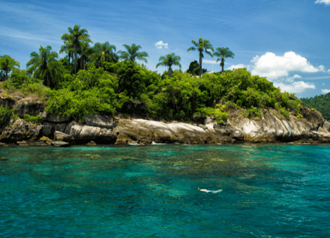 Circuit Baianas et Cariocas, Trésors du Brésil et Plaines du Pantanal - 8